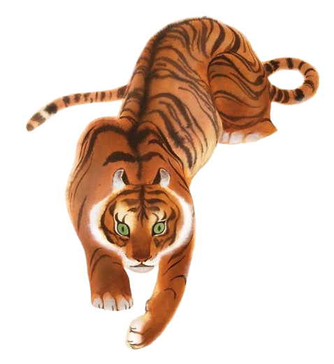 Orange tiger illustration